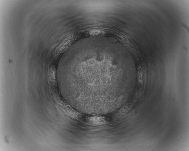 X0000100420375200806201828