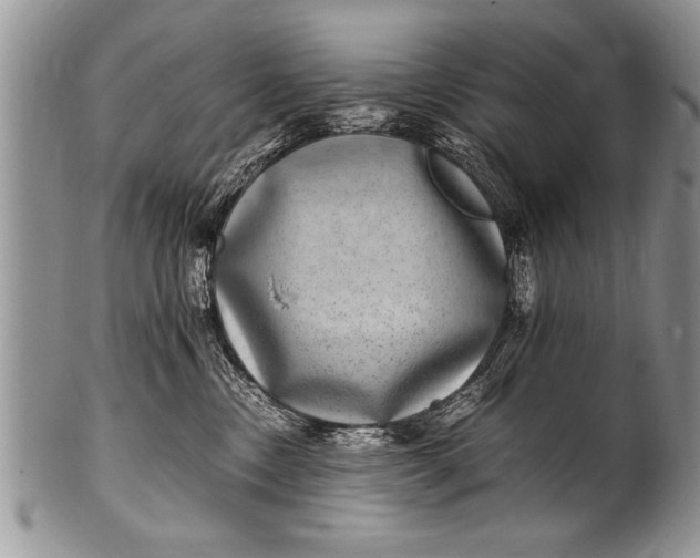 X0000100420378200806201828