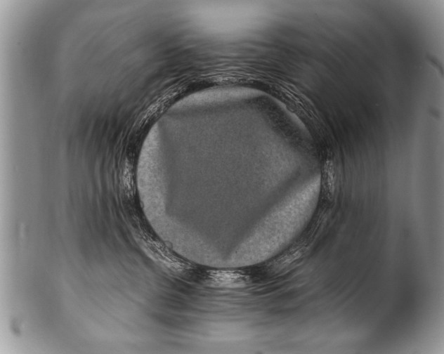 X0000100420380200806201828