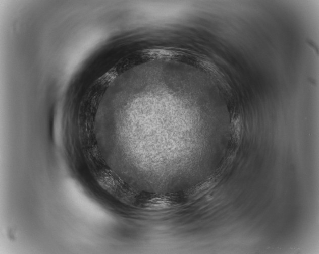 X0000100420381200806201828