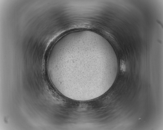 X0000100420388200806201828