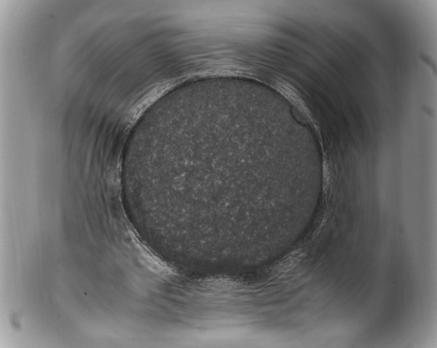 X0000100420389200806201828