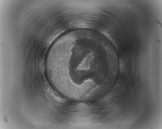 X0000100420390200806201828