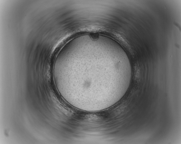 X0000100420392200806201827