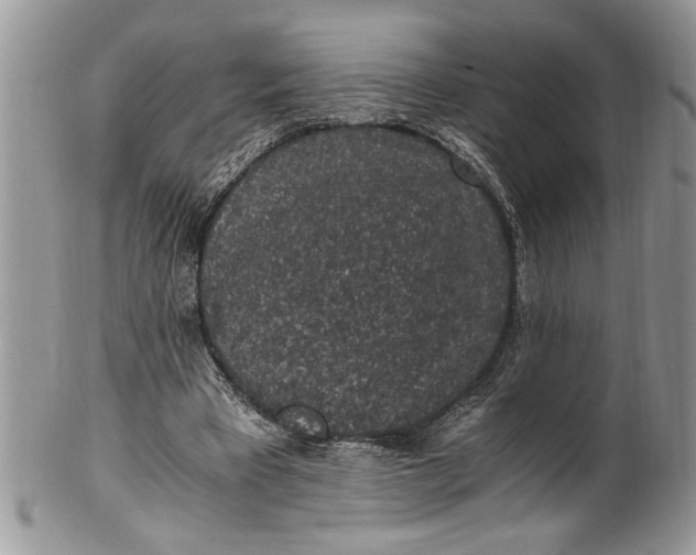 X0000100420393200806201827