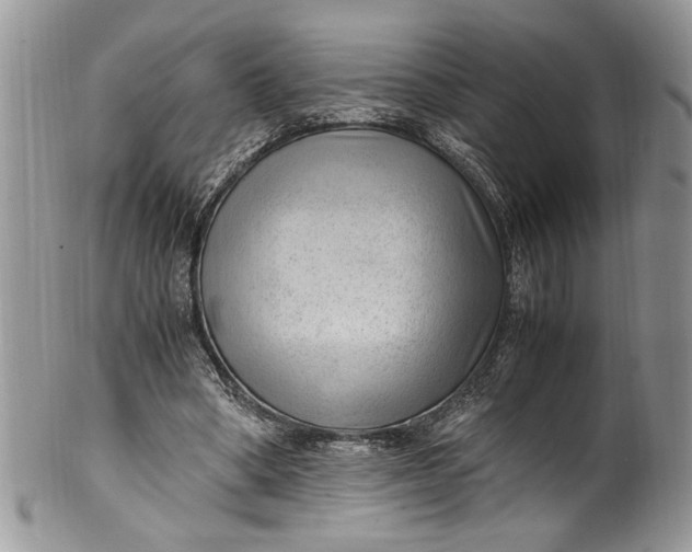 X0000100420394200806201827