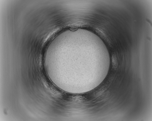 X0000100420396200806201827