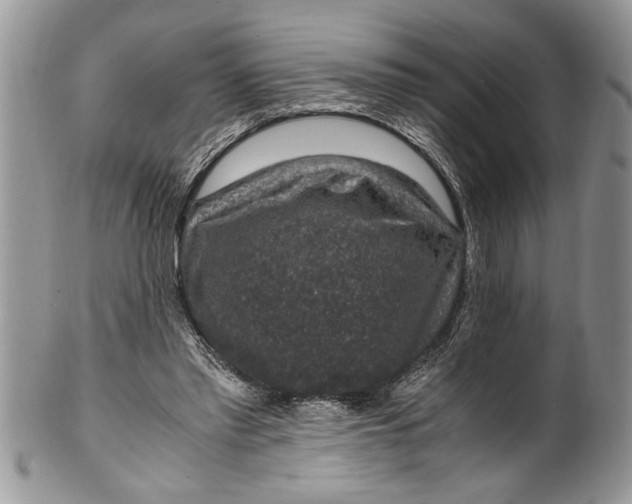 X0000100420397200806201827
