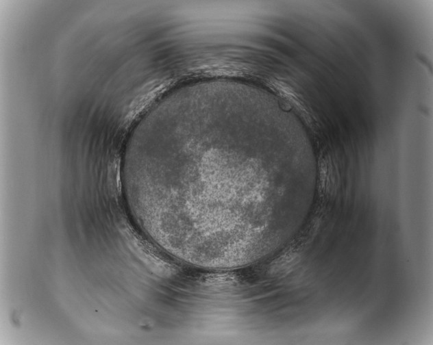 X0000100420398200806201827