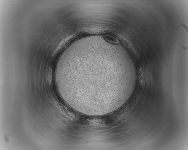 X0000100420400200806201827