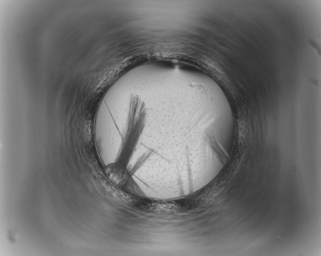 X0000100420401200806201827