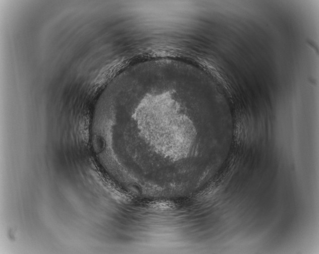 X0000100420402200806201827