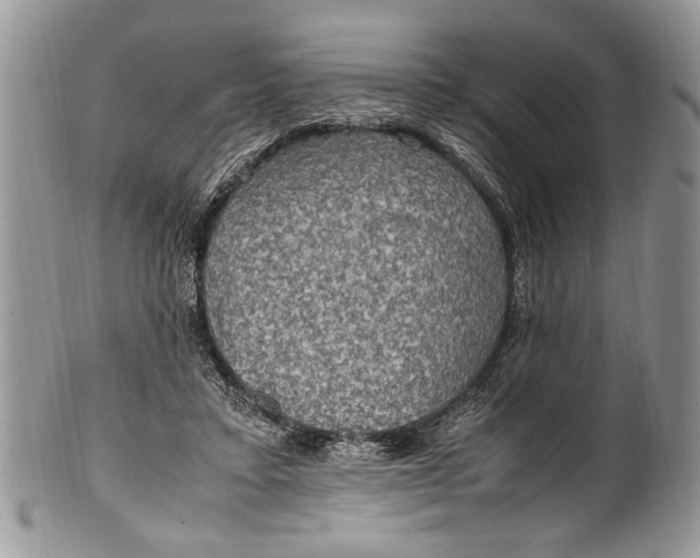 X0000100420403200806201827