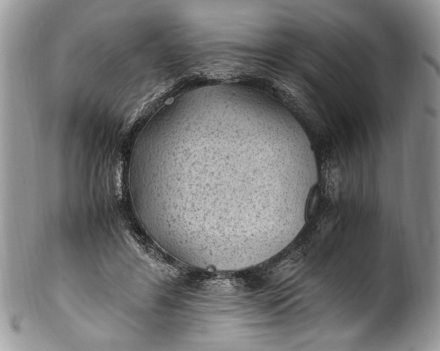 X0000100420404200806201827