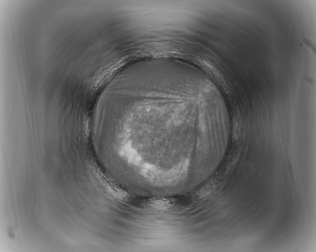 X0000100420405200806201827