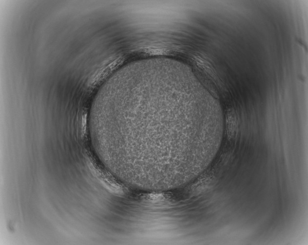 X0000100420406200806201827