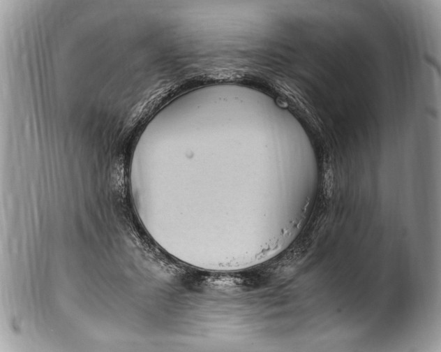 X0000100420407200806201827