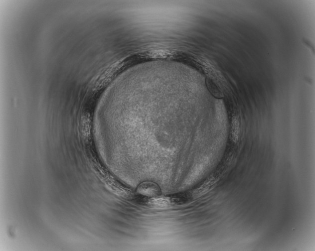 X0000100420413200806201827