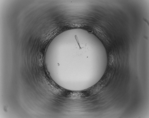 X0000100420414200806201827