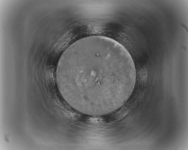 X0000100420415200806201827