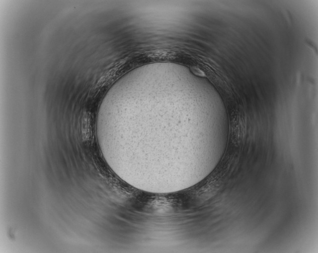 X0000100420416200806201827