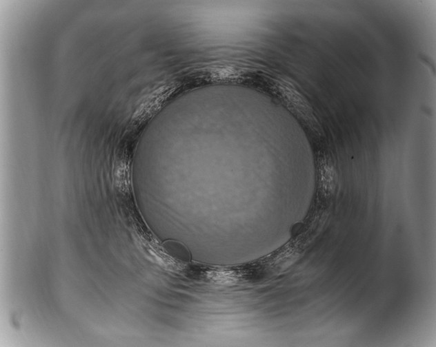 X0000100420419200806201827