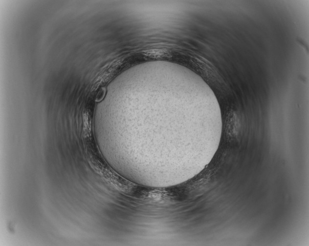 X0000100420420200806201827