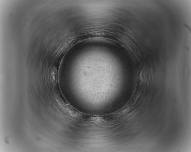 X0000100420424200806201827