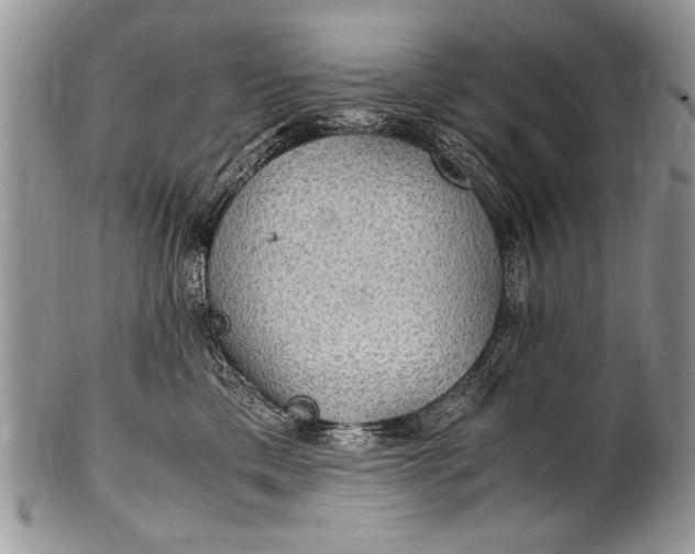 X0000100420425200806201827