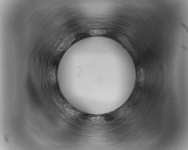 X0000100420426200806201827
