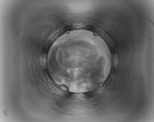 X0000100420427200806201827