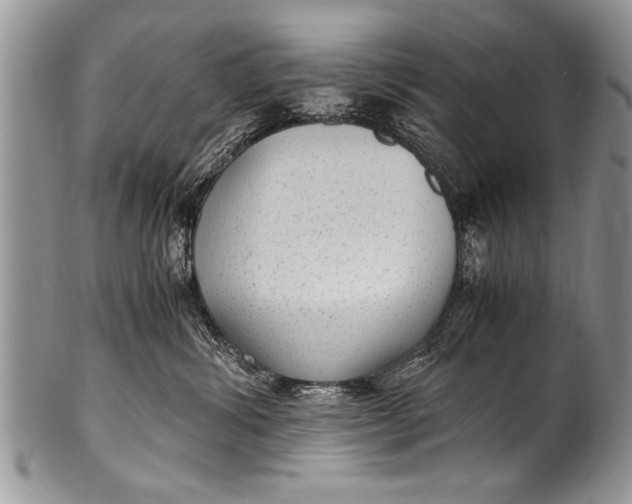 X0000100420428200806201827
