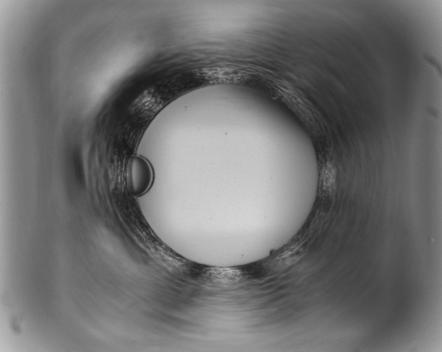 X0000100420429200806201827