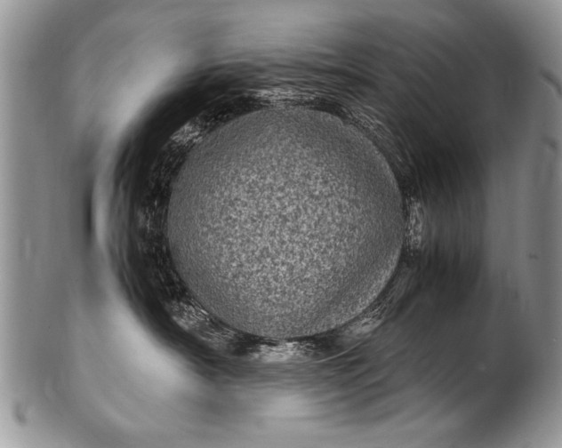 X0000100420430200806201827