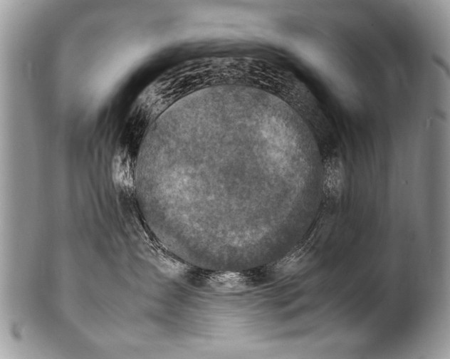 X0000100420431200806201827