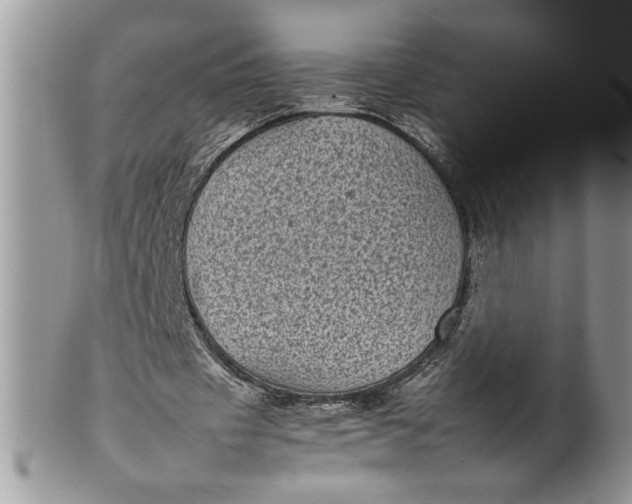X0000100420433200806201826
