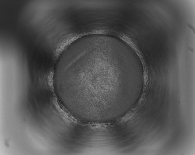X0000100420434200806201826