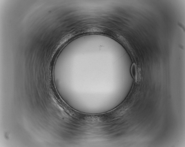 X0000100420435200806201826