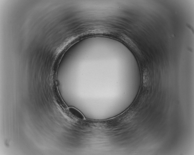 X0000100420436200806201826