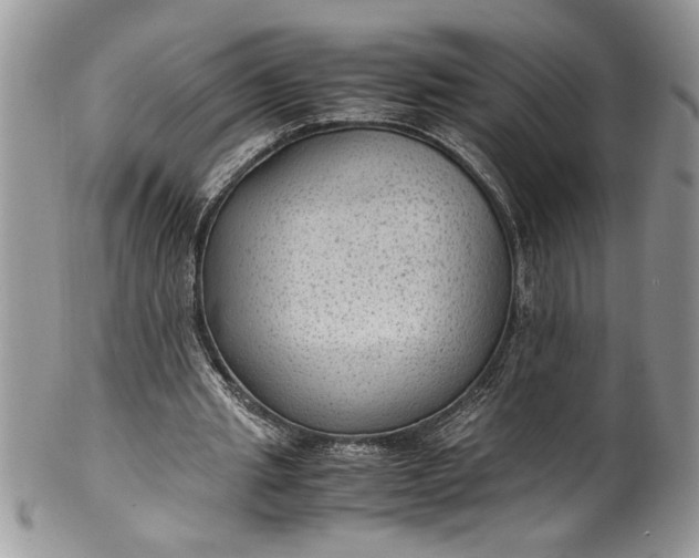 X0000100420437200806201826