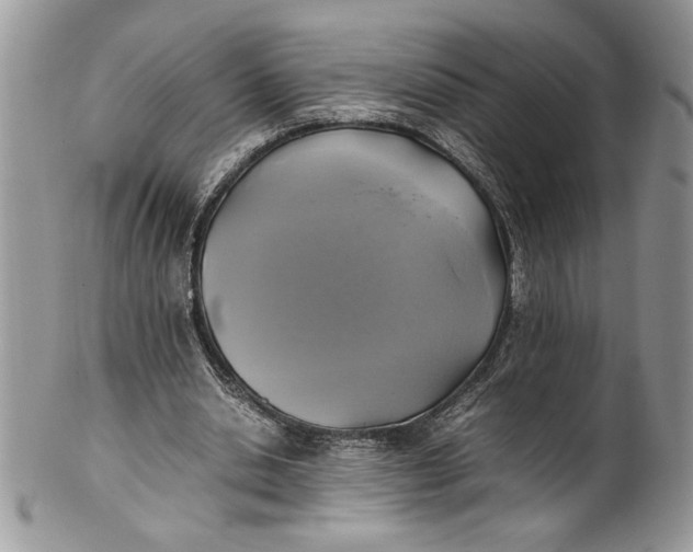 X0000100420438200806201826