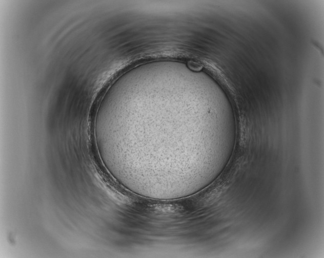 X0000100420439200806201826