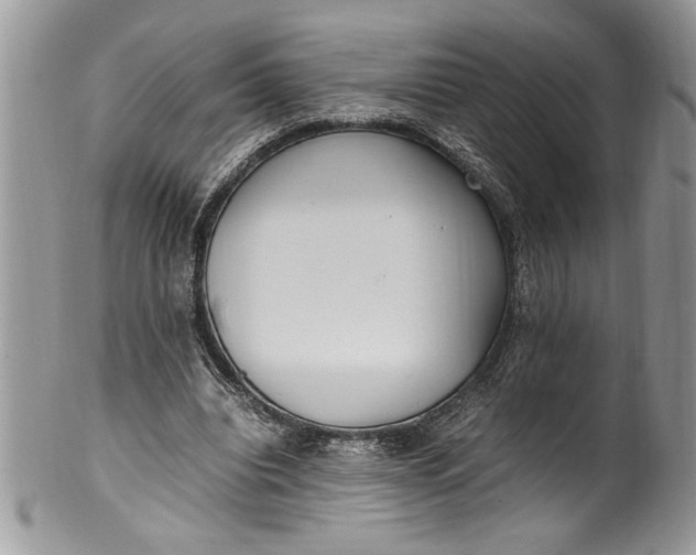 X0000100420440200806201826