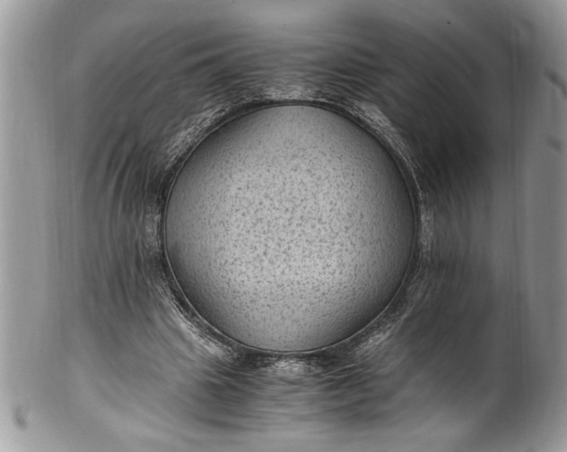 X0000100420441200806201826