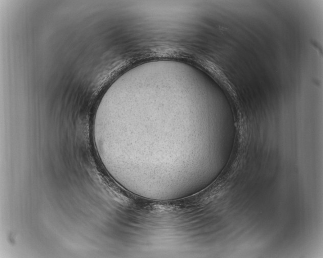 X0000100420442200806201826