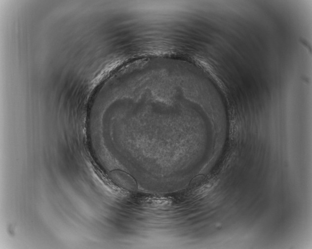 X0000100420443200806201826