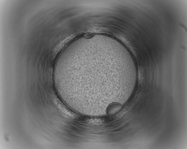 X0000100420445200806201826