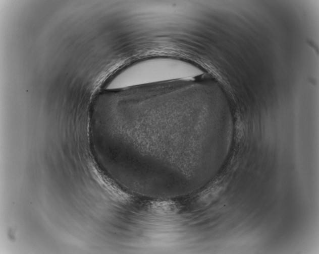X0000100420446200806201826