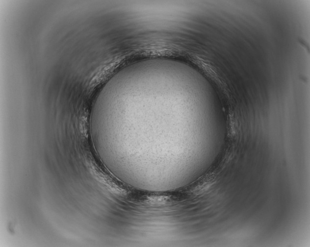 X0000100420450200806201826