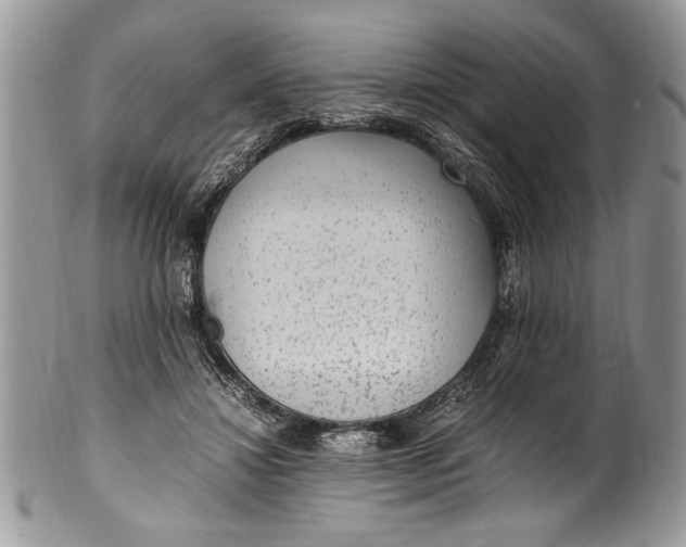 X0000100420452200806201826